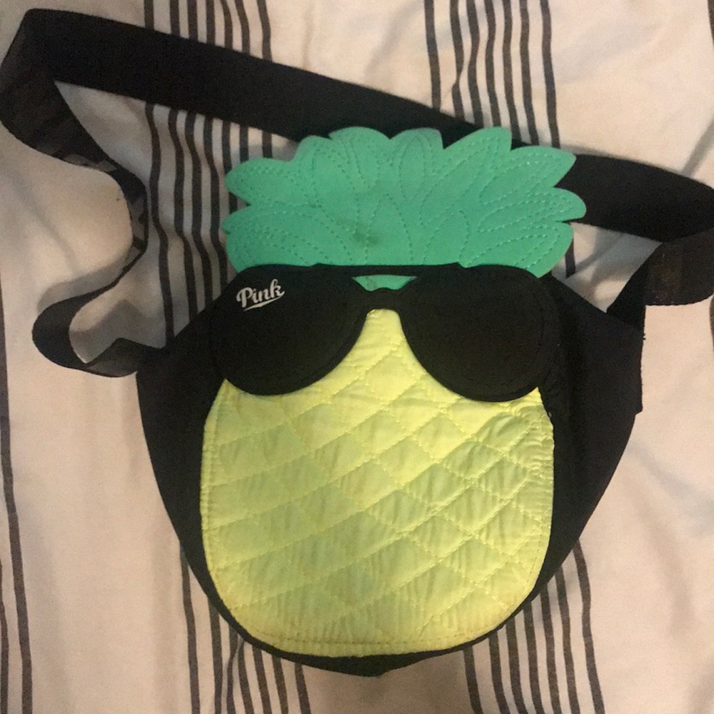 Pineapple lunch pal